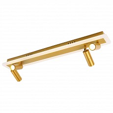Спот arte lamp tommy a2607pl-30go